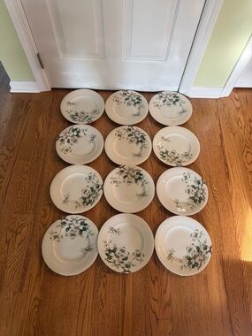 Set of 12 Meito Norleans Livonia Dogwood 10.5" Dinner Plates Occupied Japan